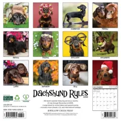 Willow Creek Press 12"x12" 2026 Dachshund Rules Wall Calendar