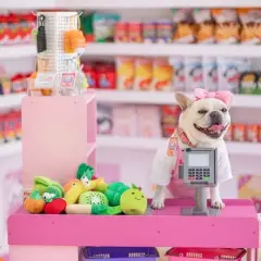 QuestaPack Small Dog Toys- 15 Pack Grocery Bag Fruits and Veggies Dog Squeaky Toys