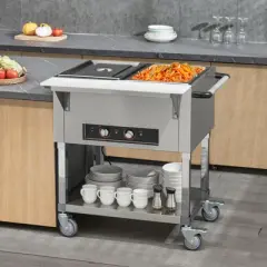 VEVOR 2-Pan Commercial Food Warmer, 2 x 20.6QT Electric Steam Table, 1000W Professional Buffet Catering Food Warmer with 4 Wheels (2 Lockable)