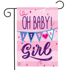 Briarwood Lane Double Sided Garden Flag 18x12.5 For Outdoor Baby Girl Double-Sided Garden Flag Flag Garden Flag Flags For Outside
