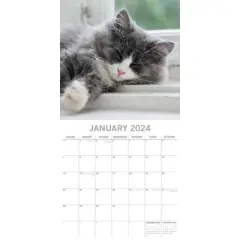 The Gifted Stationery 2024 Square Wall Calendar, Cat Naps, 16-Month Animals Theme with 180 Reminder Stickers (12 x 12 In)