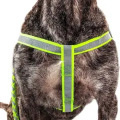 Pet Life  Reflective Stitched Easy Tension Adjustable 2-in-1 Dog Leash and Harness