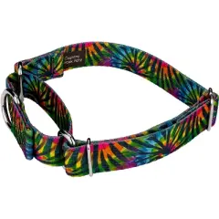 Country Brook Petz Tie Dye Stripes Martingale Dog Collar