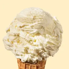 Tillamook Vanilla Bean Frozen Ice Cream - 16 fl oz