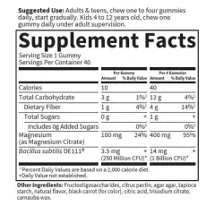 Garden of Life Dr. Formulated Magnesium Vegan Gummies - 40ct