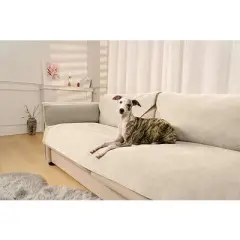 FUNNYFUZZY Pet Couch Covers for Sofa