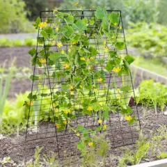 Tangkula 2-Piece Green Cucumber Garden Trellis Grow Support for Climbing Plant
