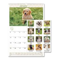 Puppies Monthly Wall Calendar, Puppies Photography, 15.5 x 22.75, White/Multicolor Sheets, 12-Month (Jan to Dec): 2026
