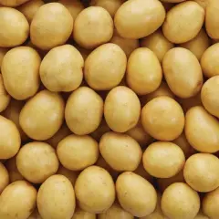 Fresh Tasteful Selections Organic Baby Honey Gold Potatoes - 24oz