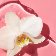 Saltair Curl Control Defining Shampoo - 14 fl oz