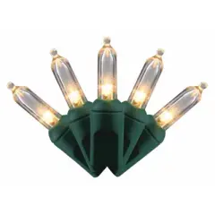 Celebrations Platinum LED T5 Warm White 50 ct String Christmas Lights 25 ft. (Case of 12)