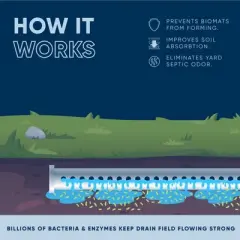 Leach and Drain Field Blast