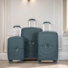 Gulches Nes Hardshell Suitcase Double Spinner Wheels PP Luggage Sets Lightweight Durable Suitcase with TSA Lock,3-Piece Set (20/24/28) , Green