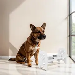 INFURNIC Pet Bowl Adjustable Travel Ready Recycled Durable Poly Lumber Easy to Pack Modern Design, White, 19"*7"*9.5"