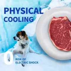 Allforpaws Dog Cooler Bowl, Keeps Water & Food Cool and Fresh for Hours, BPA Free