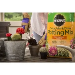 Miracle-Gro Cactus Palm Citrus Potting Soil - 8qt: Enriched Mix for Indoor Plant Growth, Fast Drainage