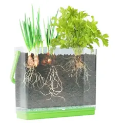 Dan&Darci Kids Root Viewer &ndash; Grow Your Own Vegetable Garden, Includes Seeds, Soil Discs, and Stickers, Educational Gift for Kids&ndash; Ages 6+