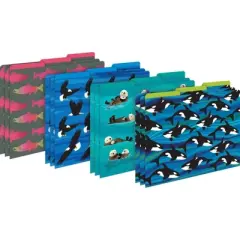 Barker Creek Sea and Sky Salmon Get Organized File Folders Set Multi-Design 107 per Set: Paper, Top Tab, 50 Sheet Capacity