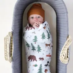 Red Rovr Organic Cotton Muslin Swaddle Blanket Single