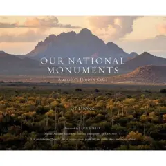 Our National Monuments - by  Qt Luong (Hardcover)