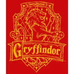 Boy's Harry Potter Gryffindor Line Art Crest T-Shirt
