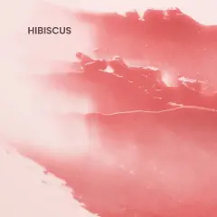 Burt's Bees Tinted Lip Balm - Hibiscus - 0.15oz