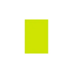 Lux Paper 13 x 19 inch Wasabi 500/Pack 1319-P-L22-500