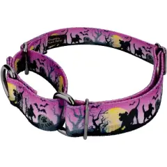 Country Brook Petz Graveyard Gunmetal Martingale Dog Collar (1 Inch, Extra Large)