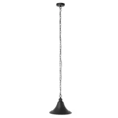 Graylyn 11.8" Outdoor Pendant - PLT7017 - Black - Safavieh