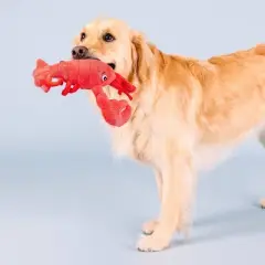 PetShop by Fringe Studio You're My Lobster Plush Dog Toy