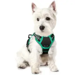 rabbitgoo Dog Harness No Pull with 2 Leash Clips, Control Handle for Puppy, Black & Turquoise, XS