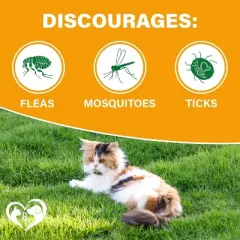 Beloved Pets Flea & Tick Support Chewable Treats with Chicken Flavor for Cats, 10 Oz - 1 Pack