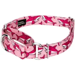 Country Brook Petz Pink Sharks Martingale Dog Collar and Leash