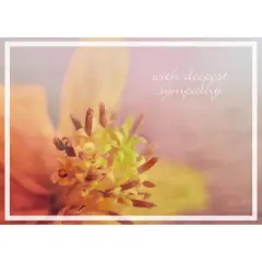 CEO Cards Sympathy Greeting Card Box Set of 25 Cards & 26 Envelopes - S1702
