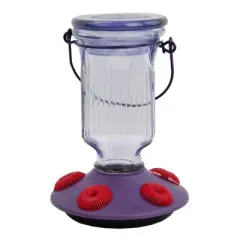 Perky-Pet Hummingbird 16 oz Glass/Plastic Nectar Feeder 5 ports (Case of 2)