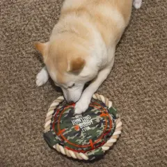 Pavilion Gift Company - Hunting Buddy - 10" x 10" Canvas Dog Toy on Rope - Pet Toy