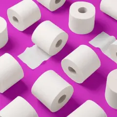 1000ct Septic Safe 1-Ply Toilet Paper - up&up&trade;