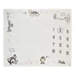 Warner Brothers Looney Tunes Best Buds White with Pastel Blue, Pink, and Yellow Milestone Blanket