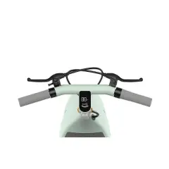 OKAI Ceetle Pro Foldable Electric Scooter - Green