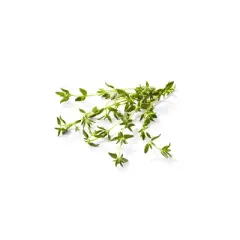 Organic Thyme - 0.5oz - Good & Gather&trade;