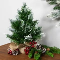 Northlight Whitecap Pine Artificial Mini Christmas Tree - 14" - Unlit