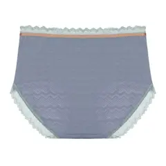 Agnes Orinda Women's Plus Size Lace Trim Cotton Brief Underwear Panties