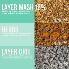 Scratch and Peck Feeds Cluckin Good Organic 3 Grain Scratch Chickens and Ducks Feed - 10 lbs