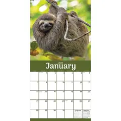 TF Publishing 2024 Wall Calendar 12"x12" Sloths