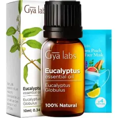 Gya Labs Eucalyptus Essential Oil 0.34 Fl Oz Fresh Cooling Scent