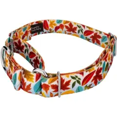 Country Brook Petz Martingale Collar and Leash - Awesome Autumn Collection