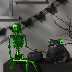 8" Talking and Singing Toad Halloween Decorative Prop Black - Hyde and EEK! Boutique&trade;