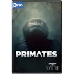 Nature: Primates (DVD)