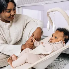 Baby Delight Alpine Organic Deluxe Portable Bouncer