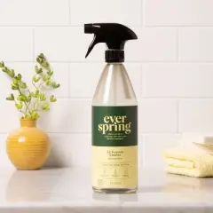 Lemon & Mint All Purpose Cleaner - 28 fl oz - Everspring&trade;